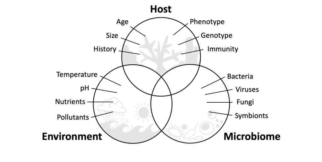 Disease Triad