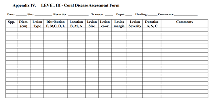 Assessment Form thumbnail