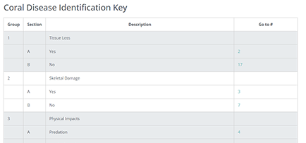 Coral Disease Identification Key thumbnail