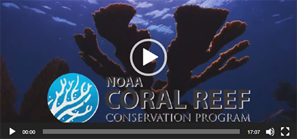 Outbreak Investigation - Coral Disease & Health Consortium