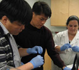 Two visiting scientists from the Korean Ocean Research & Development Institute (KORDI) and a NOAA scientist prepare molecular probes in the Charleston Laboratory to test their suitability for labeling the fish-killing dinoflagellate, Heterocapsa circularisquarma. (credit: NOAA)
