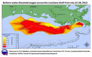 2013 Gulf of Mexico Dead Zone