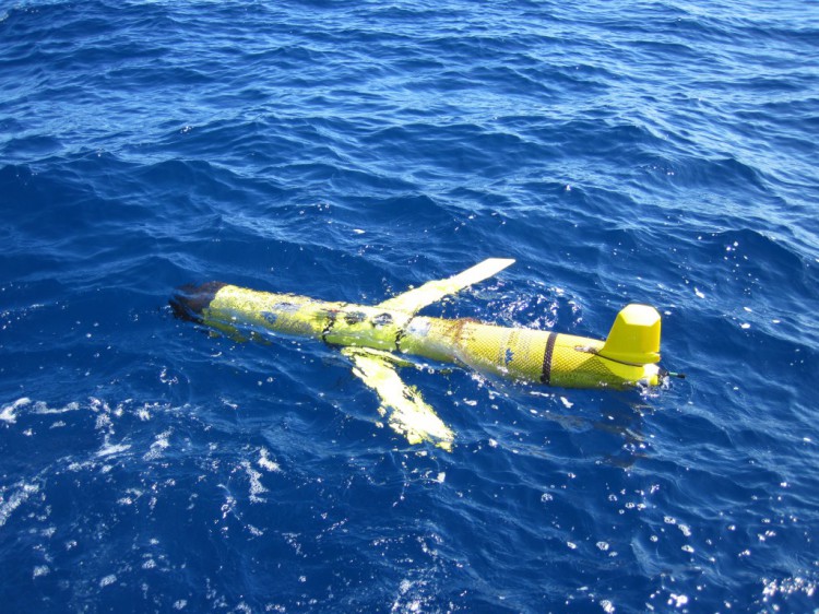 The Slocum ocean glider comes to the surface to transmit data after every 4-6 hour underwater data collection trip. Photo Credit: C. Lembke, University of South Florida.