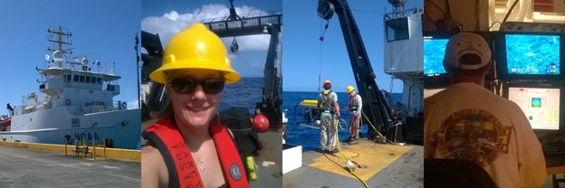 Leslie Marie Henderson, second from left, and some photos from the RV Nancy Foster. 