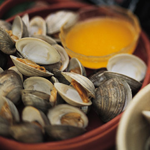 A seafood delicacy made toxic by HABs: the hard clam/quahog (credit NOAA NMFS) 