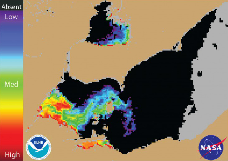 Figure 1. Cyanobacterial Index from NASA's MODIS-Aqua data collected 3 August 2014 at 1:10 pm. Grey indicates clouds or missing data. Black represents no cyanobacteria detected. Colored pixels indicate the presence of cyanobacteria. Cooler colors (blue and purple) indicate low concentrations, and warmer colors (red, orange, and yellow) indicate high concentrations. The estimated threshold for cyanobacteria detection is 35,000 cells/mL.