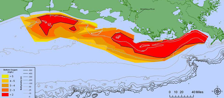 Operational hypoxia scenario models can help managers determine nutrient reduction goals to reduce the size of the Gulf of Mexico dead zone.  Image shows distribution of bottom-water dissolved oxygen July 27-August 1, 2014  west of the Mississippi River delta. Black line indicated dissolved oxygen level of 2 mg/L. (Credit N. Rabalais, LUMCON, and R. E. Turner, LSU)