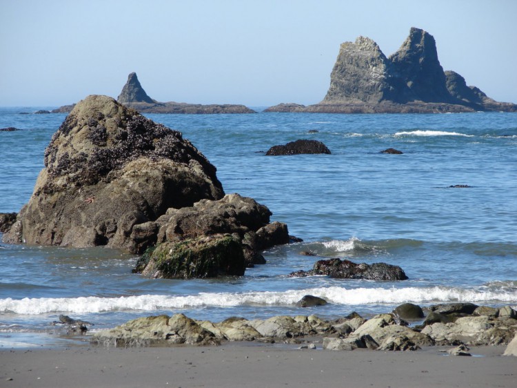 In addition to important ecological resources, the Olympic Coast National Marine Sanctuary also has a rich cultural and historical legacy. Credit OCNMS.