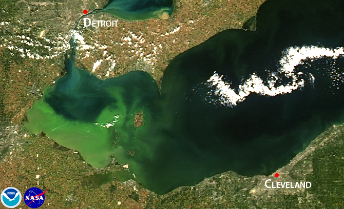 Satellite image of 2013 intense bloom, which was concentrated in the lake's western basin.  Credit: NOAA.