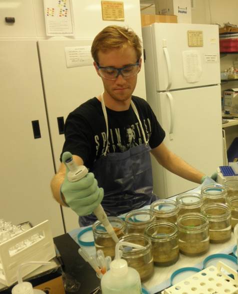 Jeff Good preparing a sediment toxicity test composed of juvenile clams exposed to an oil dispersant.