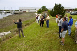 Workshop participants learn about the effectiveness of a marsh-oyster Living Shoreline from Carolyn Currin at the NOAA Beaufort Laboratory. Credit: North Carolina Coastal Reserve and National Estuarine Research Reserve