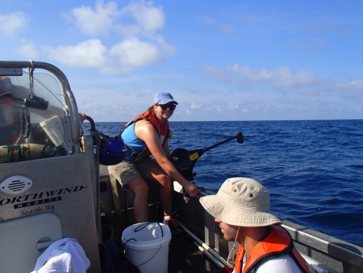 Erika Koontz is seen here using the downrigger to lower the drop camera frame to the seafloor, and Matthew Carey, in the foreground, is watching the live feed from the drop camera to ensure the camera is aptly positioned close to the seafloor for the video recording. Image credit: Coastal Carolina University