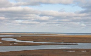 Researchers are using the Nauset Marsh on Cape Cod National Seashore as a 'natural laboratory' to examining the biological and physical controls that determine Alexandrium bloom initiation and termination. Credit Woods Hole Oceanographic Institution 
