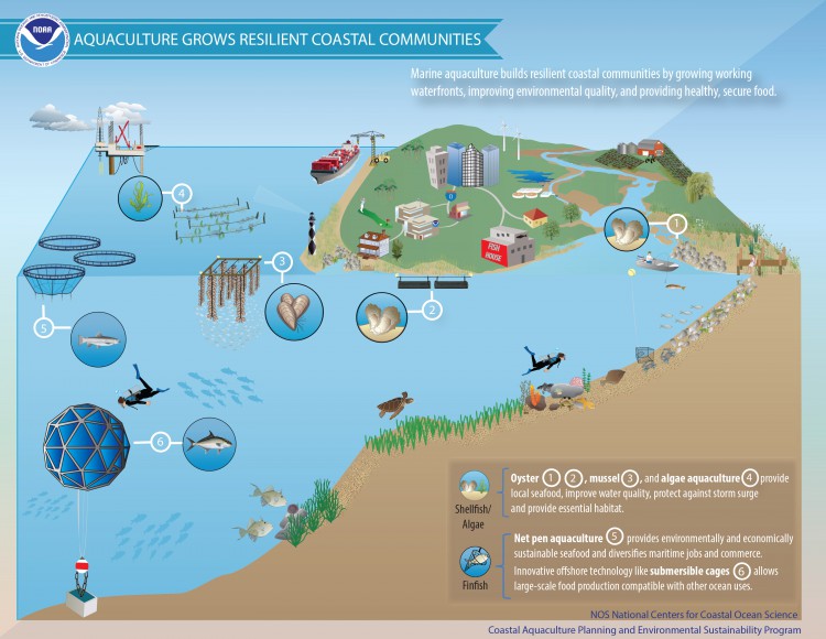 Aquaculture Ecosystem