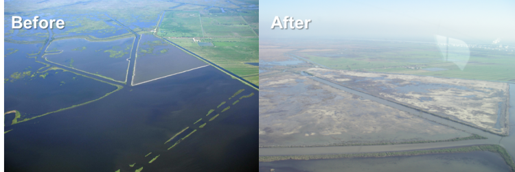 Restoring coastal Louisiana requires balancing wetland restoration, flood control, sediment delivery, nutrient management, hypoxia mitigation, and the health of coastal Fisheries. For example, the Mississippi River Sediment Delivery System-Bayou Dupont project, before (top) and after (bottom). (Credit: USGS National Wetlands Research Center, Lafayette, Louisiana) 