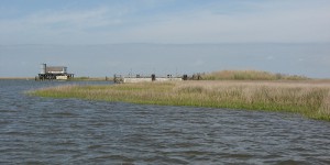 Southeastern Louisiana freshwater and brackish lakes and bayous are subject to nutrient inputs from Mississippi River diversions. Photo credit Louisiana State University, Department of Oceanography and Coastal Studies