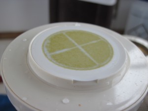 Filtered from a surface ocean water sample during a MOCHA research cruise, the phytoplankton (greenish color) collected on this filter will be tested for levels of particulate domoic acid. Credit M. McKibben