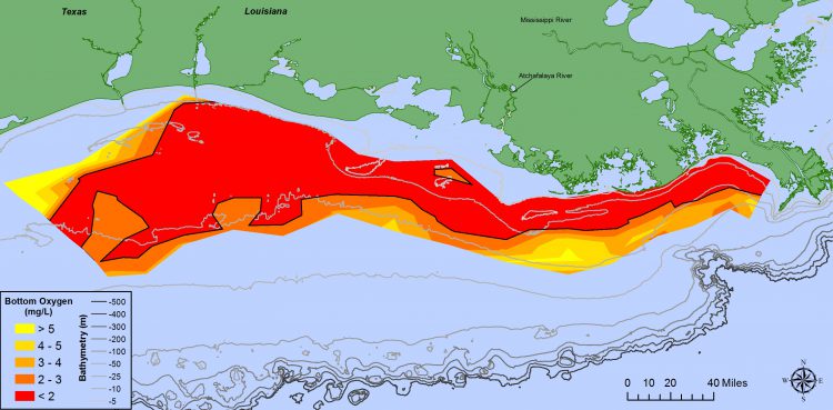 Map showing the area of hypoxia on the Louisiana Gulf of Mexico shelf in 2017.