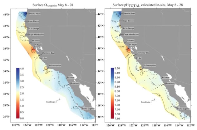 maps of surface aragonite saturation and surface pH on U.S.. west coast