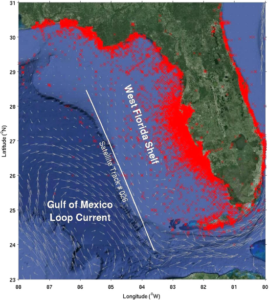current florida algae bloom map