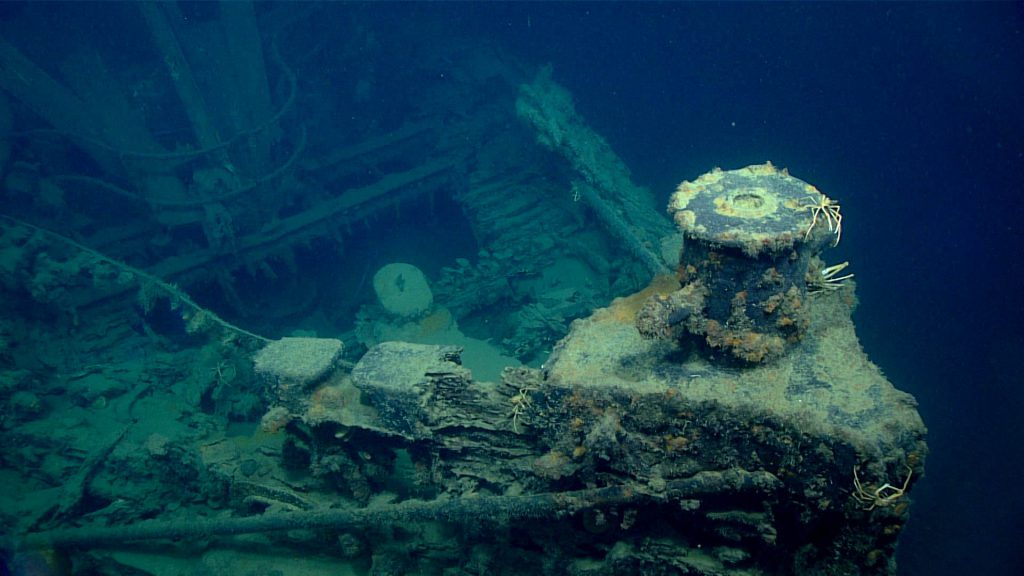 Bow of shipwreck thought to be the New Hope, a tug lost off the Louisiana coast in 1965 during Tropical Storm Debbie. 