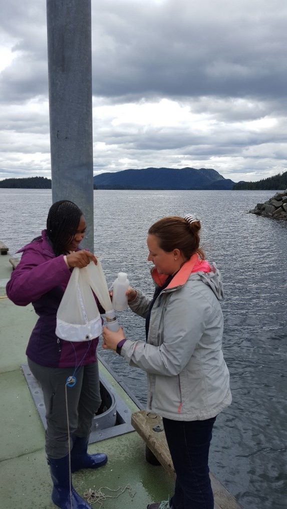 NCCOS Helps Sitka Tribe of Alaska Respond to Harmful Algal Bloom
