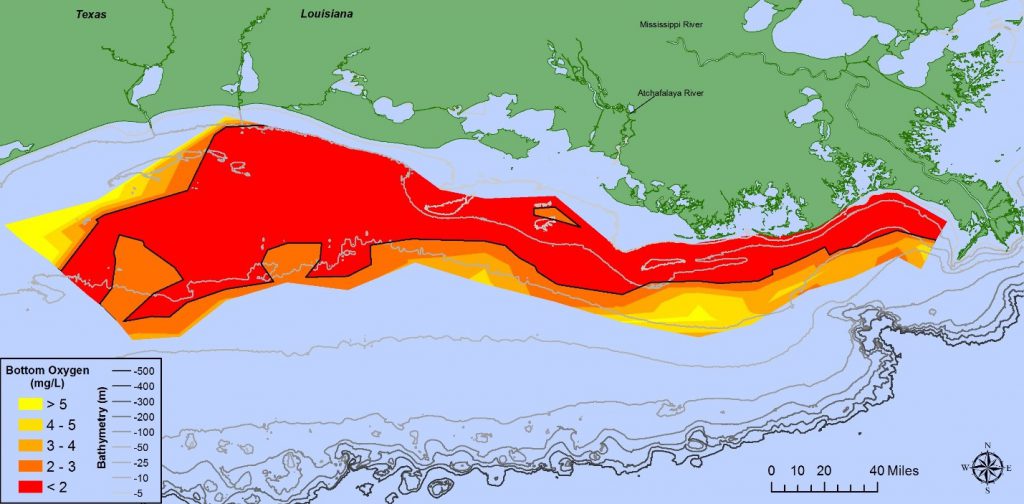 Map of waters off the coast of Louisiana with a red spot indicating hypoxia.