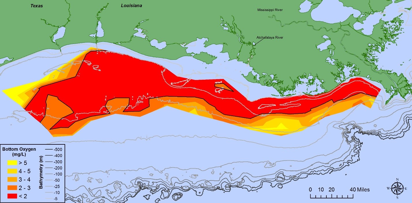 louisiana_hypoxia