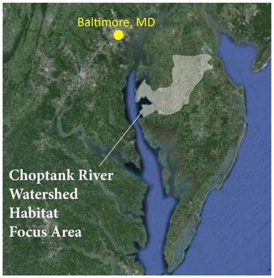 Map of Choptank River Watershed Habitat Focus Area