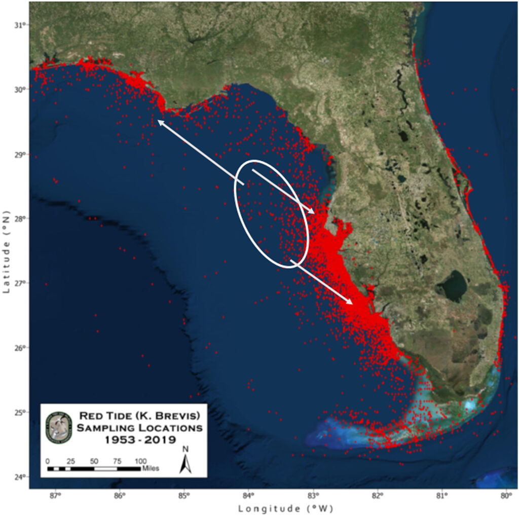 Current Red Tide Map Florida Printable Maps Wells Printable Map Porn