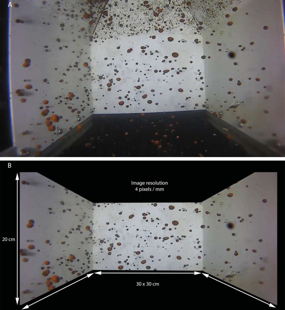 Still images recorded with bubblometer digital video camera, showing oil bubbles rising and flowing through the chamber.
