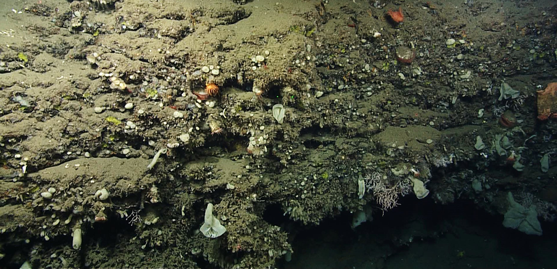 NOAA Pays Tribute to Marine Spatial Ecologist Dr. Brian Kinlan During ...