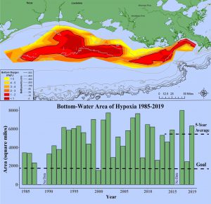 Large ‘Dead Zone’ Measured in Gulf of Mexico - NCCOS - National Centers ...