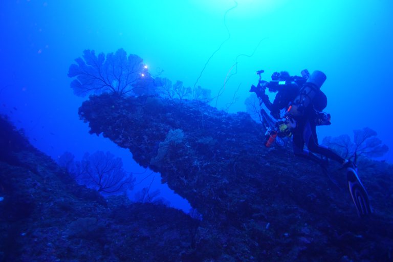 Mesophotic Coral Ecosystems Of American Samoa Nccos Coastal Science Website 8251