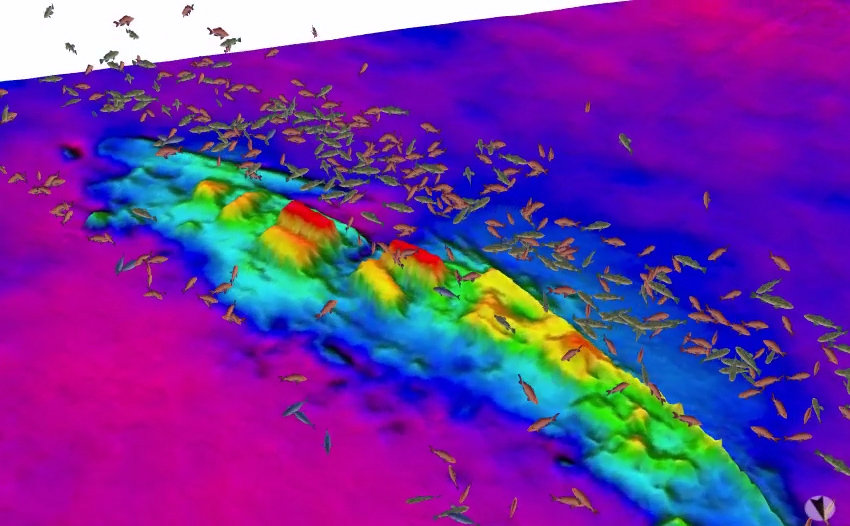 Image showing size and location of fish (acquired with splitbeam echosounder) over the wreck of the USS Schurz (aquired with multibeam echosounder).