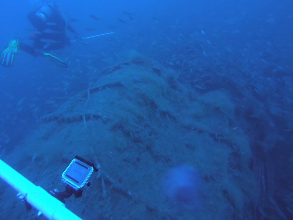 The dive team surveys the wreck of the USS Schurz, a U.S. Navy gunboat that sunk in 1918 off the coast of Cape Lookout, North Carolina, after colliding with another ship. 