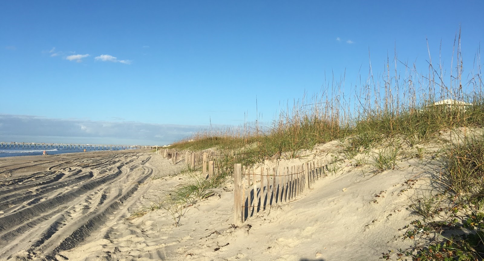 The Effect of Sand Fencing on the Structure of Natural Dune Systems ...