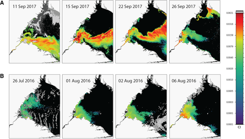 ime series of daily satellite images showing the changing spatial structure of cyanobacterial blooms visualized by the cyanobacterial index (CI) in the lower Maumee River and the western basin of Lake Erie during extended high‐retention periods in (A ) 2017 and (B ) 2016. Color scale is on the right with CI values on the left side of the bar.