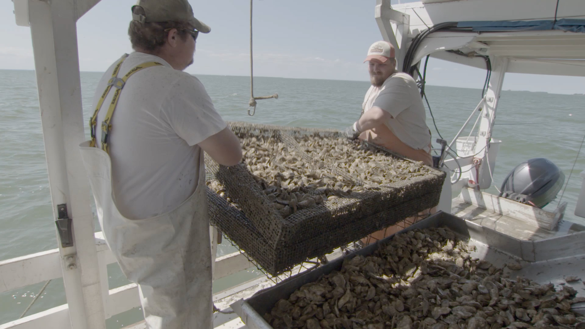 Oyster farmers in Chesapeake Bay, Maryland, 2016. 