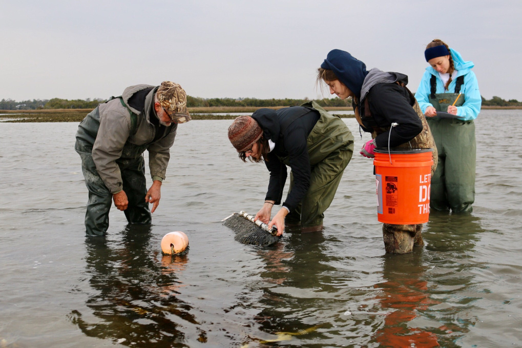 4 people in knee-deep water: 1 leans over to view an object that another pulls from the water; 1 holds a bucket;1 writes on a clipboard.