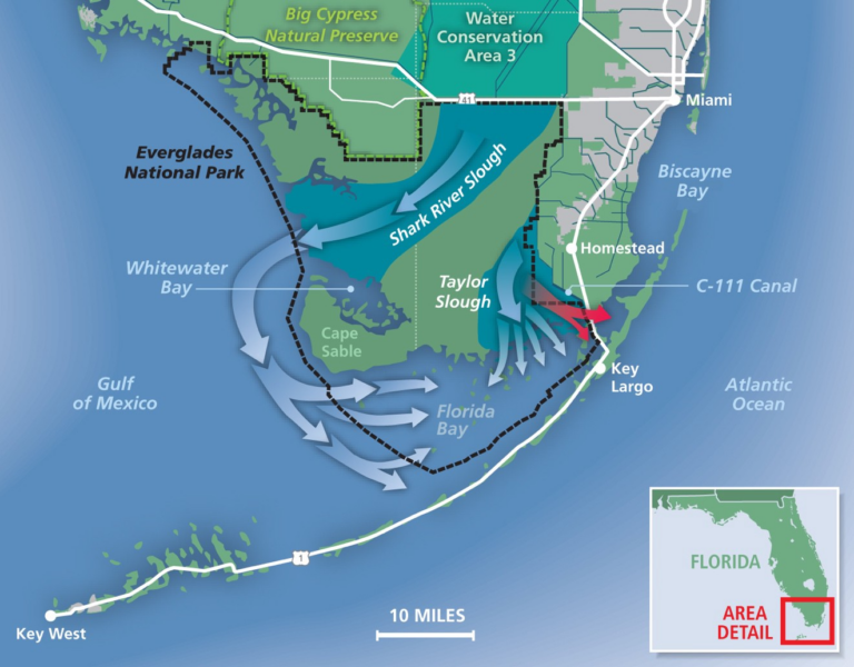 Ecosystem Approach To Everglades Water Flow Needed To Minimize 