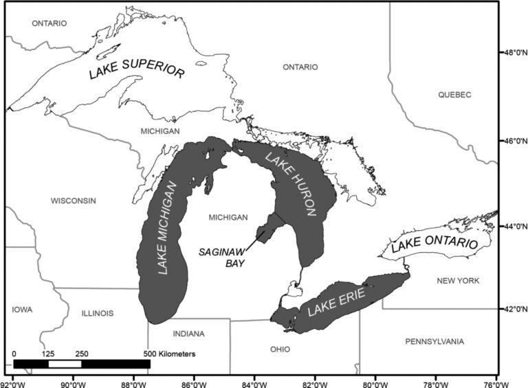 Potential Effects of Bigheaded Carps on Four Great Lakes Habitats ...