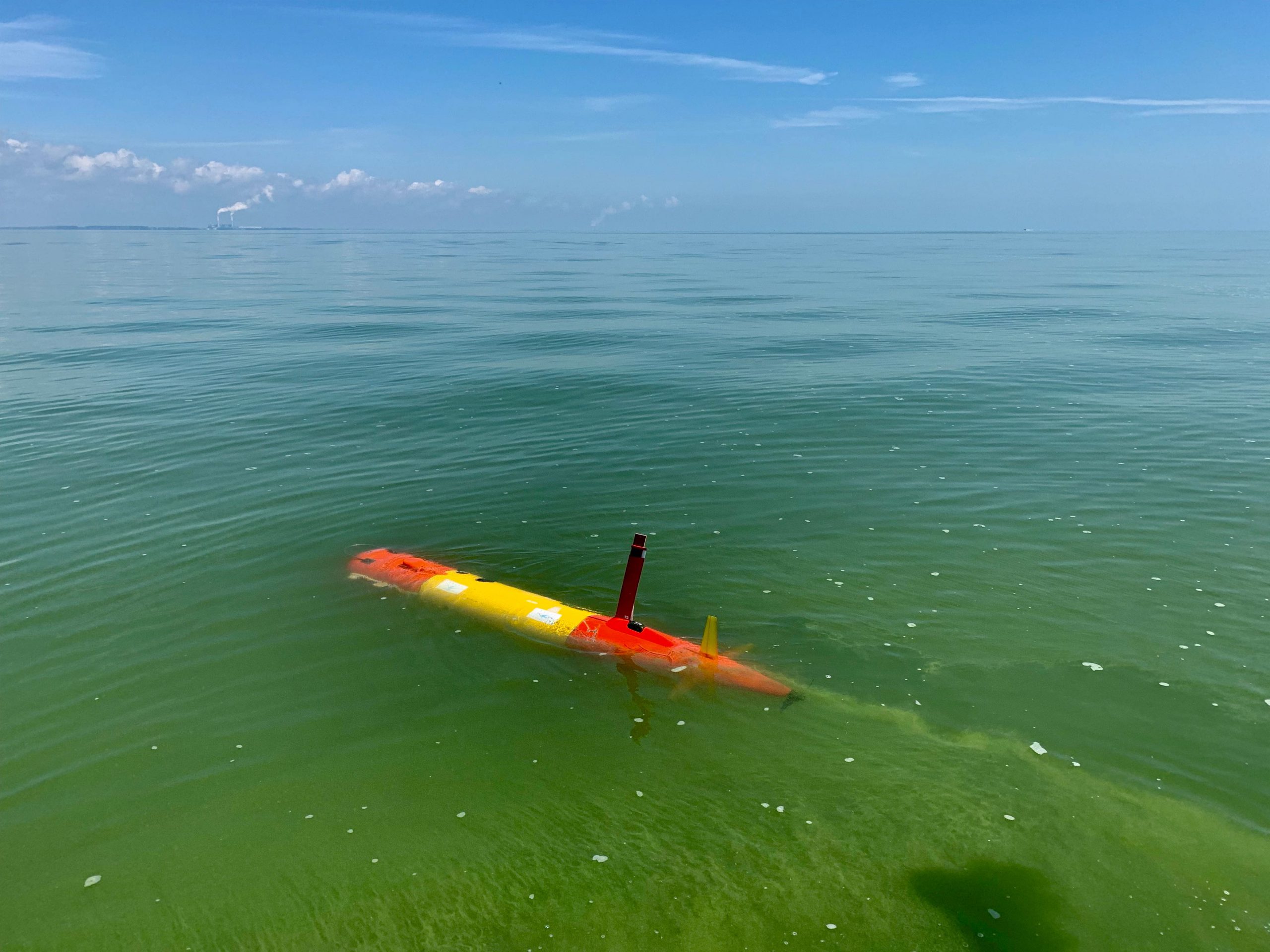 red and yellow torpedo-like object in green water.