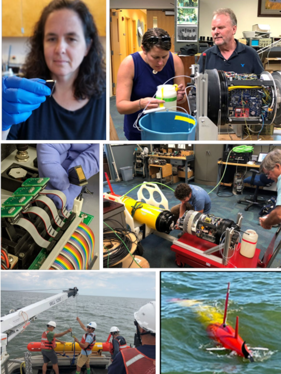 First Real-time Toxicity Assessment of Lake Erie Algal Bloom by Autonomous Underwater Vehicle Achieved