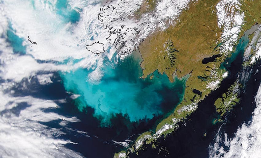New Study Finds Growing Potential for Toxic Algal Blooms in the Alaskan Arctic