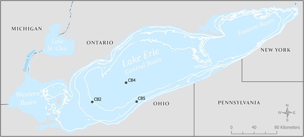 Lake Erie Eutrophication Exacerbated by Release of Sediment Phosphorus during Anoxia