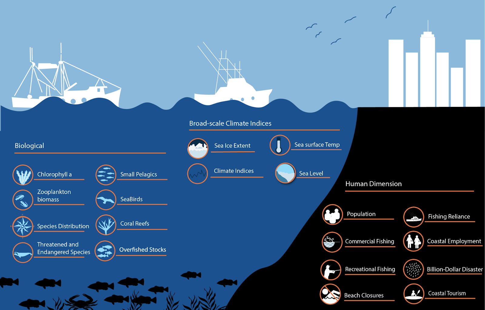 the marine biome climate