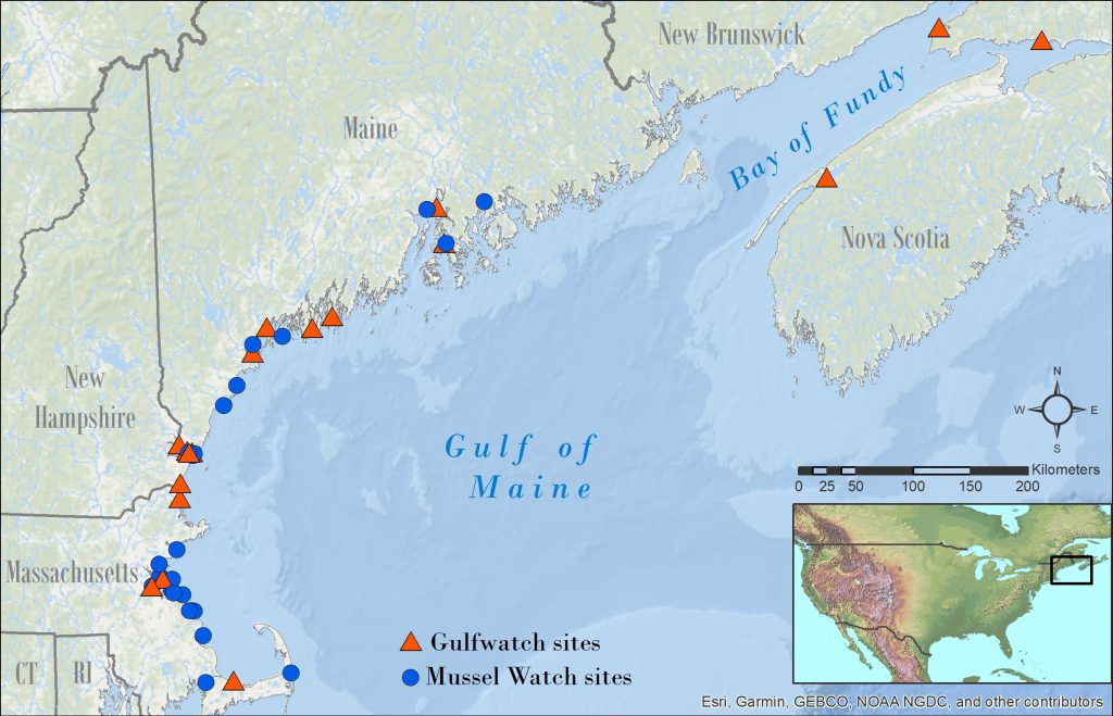 Gulf of Maine map showing Mussel Watch and Gulfwatch sites.