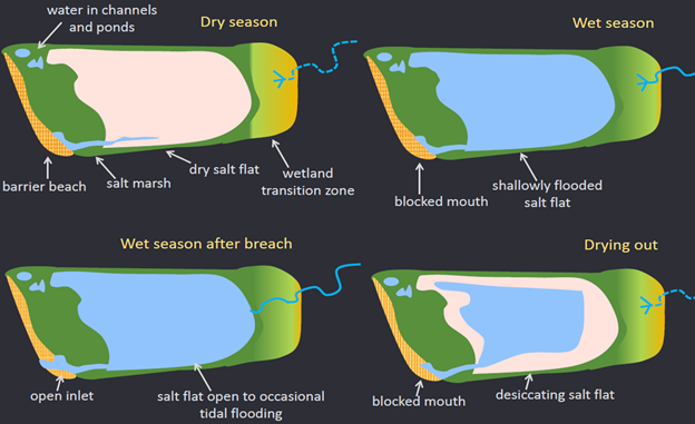 schematic describing stages of intermittently open estuaries