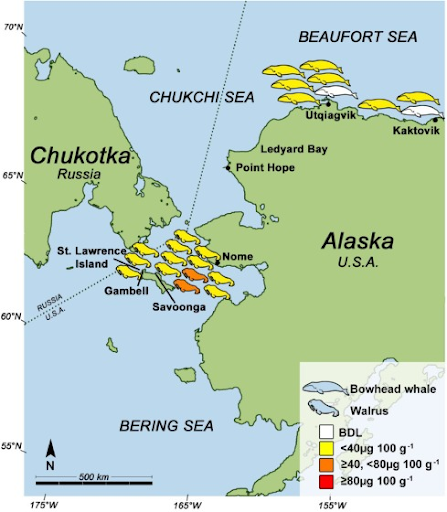 Identifying the Source Organisms Producing Paralytic Shellfish Toxins in a  Subtropical Bay in the South China Sea